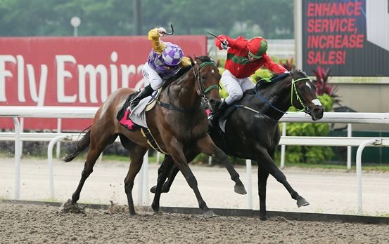 HAPPY MONEY Econsul sprinter (rails) wins the RDA Cup in Singapore on Sunday