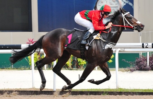 HAPPY MONEY Econsul gelding wins in Singapore