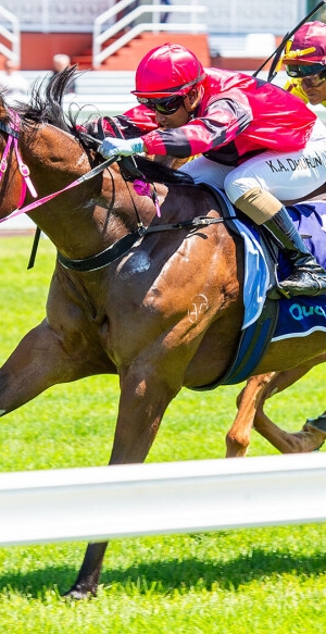 Breathtaking Impact at Ascot