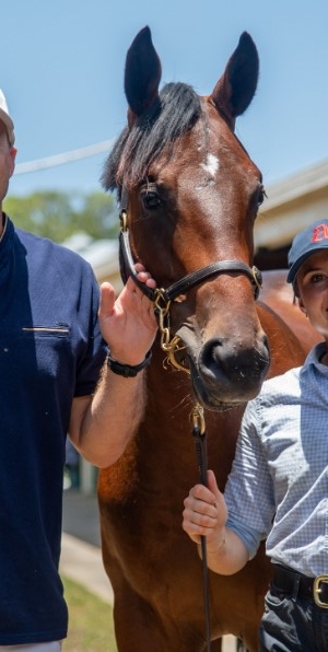 Alliance firing for Perth Magic Millions