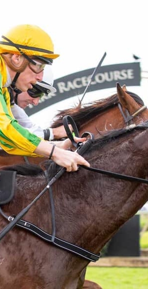 Cheyne wins battle of the Bays at Belmont