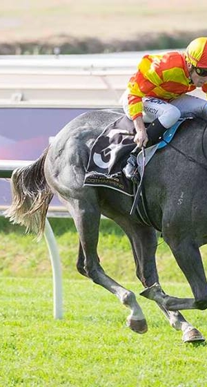 Chix Pic off the leash for Karrakatta