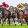 Wolfe Man wins Magic Millions Classic