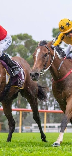 Wolfe Man wins Magic Millions Classic