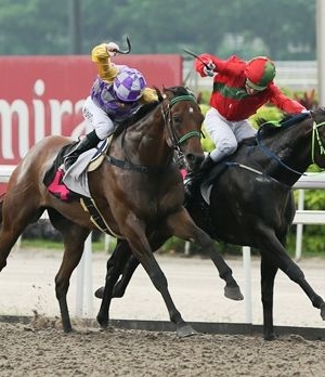 Tan in the Money at Kranji