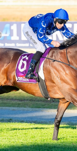 Holy reward in Sunday’s Pinjarra Cup