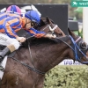 Perth Darling wins Belmont Guineas