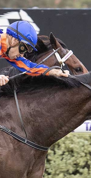 Perth Darling wins Belmont Guineas