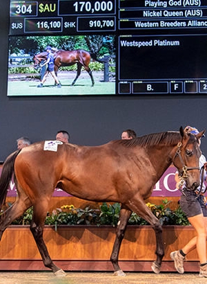 Playing God tops Book 2 at Magic Millions