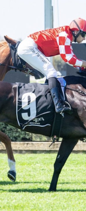 Lucky Street stunner at Belmont