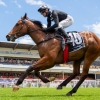 Winning Ascot Parade for Darling View