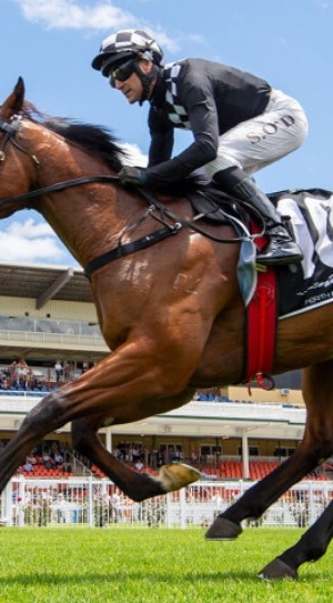 Winning Ascot Parade for Darling View