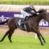 Swear To God saved for G3 Sires’ Produce Stakes