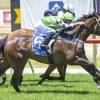 The Shoe fits at Pinjarra