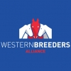 Western Breeders Alliance yearling parade