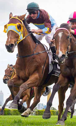 Patronize consolidates at Belmont