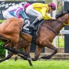 Zipaway set for WA Guineas