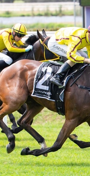 Four Ways towards WA Guineas