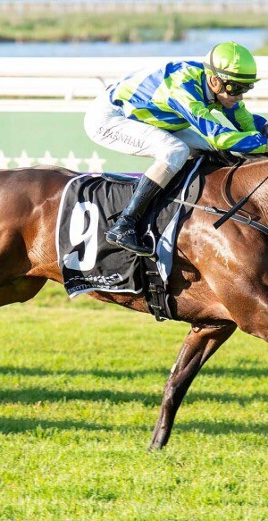 Bustler rated the best by Parnham