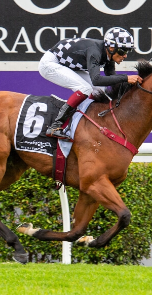 Darling View sires on Parade at Ascot