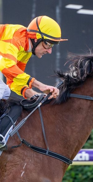 Happy Belmont victory for Sunnysilk