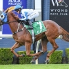 Elite 2yo Walkin’Talkin’ wins at Wyong