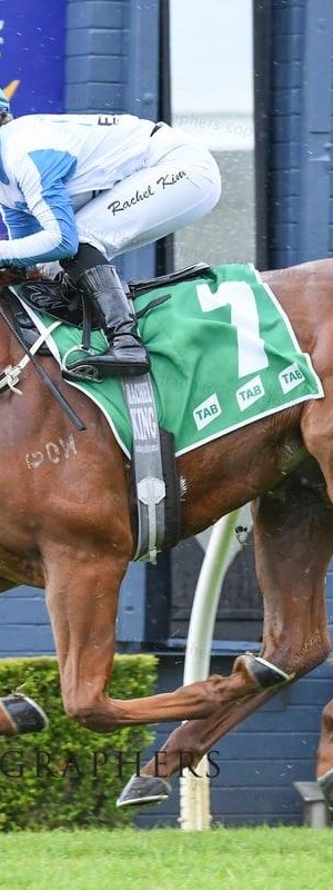 Elite 2yo Walkin’Talkin’ wins at Wyong