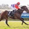 Girl spearheads Darling View Trifecta