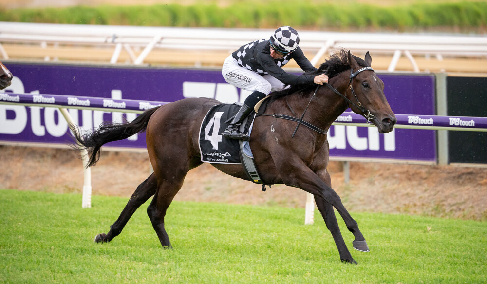 Darling View Thoroughbreds | Swear To God saved for G3 Sires’ Produce ...